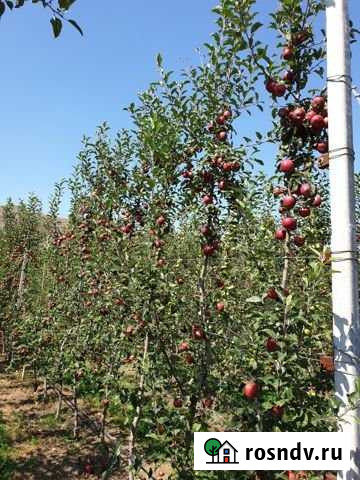 Участок ИЖС 20 сот. на продажу в Заюково Заюково - изображение 1