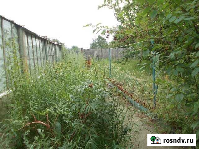 Дача 30 м² на участке 13 сот. на продажу в Чите Чита - изображение 1