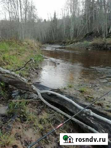 Участок СНТ, ДНП 25 сот. на продажу в Конаково Конаково - изображение 1