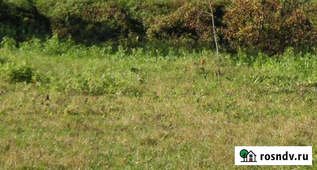 Участок СНТ, ДНП 500 сот. на продажу в Михнево Михнево - изображение 1