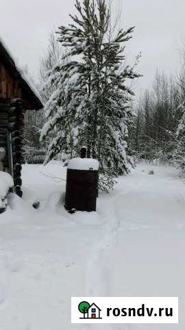 Участок СНТ, ДНП 6 сот. на продажу в Ноябрьске Ноябрьск - изображение 1