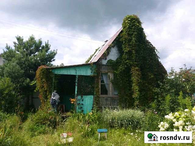 Дача 25 м² на участке 6 сот. на продажу в Болохово Болохово - изображение 1
