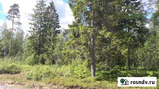 Участок ИЖС 100 сот. на продажу в Васкелово Васкелово - изображение 1