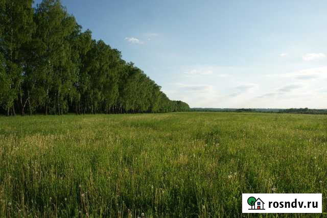 Участок СНТ, ДНП 77100 сот. на продажу в Арсеньево Арсеньево - изображение 1