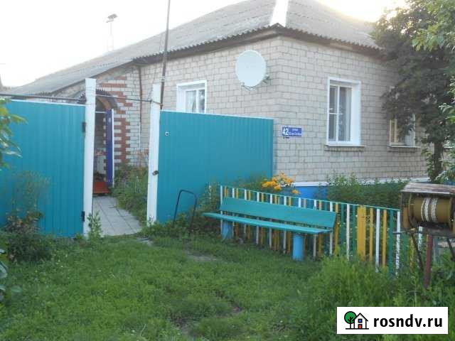 Дом 90 м² на участке 30 сот. на продажу в Репьевке Репьевка - изображение 1