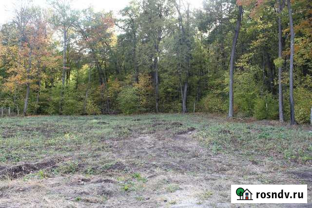 Участок СНТ, ДНП 14 сот. на продажу в Пензе Пенза - изображение 1