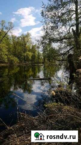 Участок СНТ, ДНП 50 сот. на продажу в Уфе Уфа - изображение 1