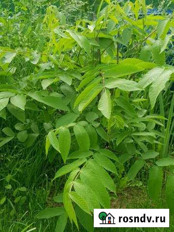 Участок ИЖС 12 сот. на продажу в Искитиме Искитим - изображение 1