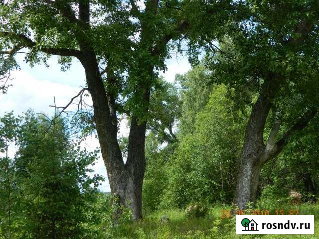 Участок СНТ, ДНП 5200 сот. на продажу в Верхошижемье Верхошижемье - изображение 1