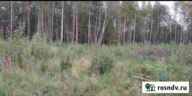 Участок СНТ, ДНП 15 сот. на продажу в Пскове Псков - изображение 1