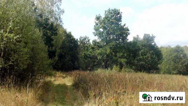 Участок ИЖС 3000 сот. на продажу в Дивеево Дивеево - изображение 1