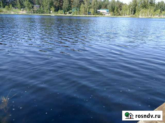 Участок ИЖС 13 сот. на продажу в Сосново Сосново - изображение 1