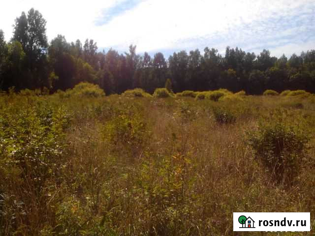 Участок СНТ, ДНП 330 сот. на продажу в Тосно Тосно - изображение 1