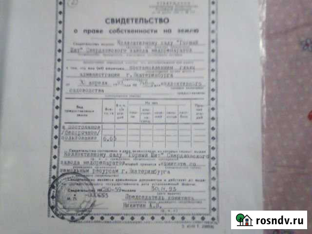 Участок СНТ, ДНП 10 сот. на продажу в Шабрах Шабры - изображение 1