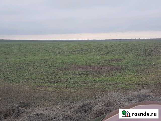 Участок СНТ, ДНП 1000 сот. на продажу в Симоненко Симоненко - изображение 1