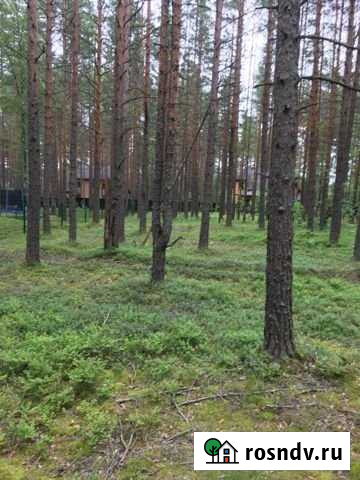 Участок ИЖС 30 сот. на продажу в Красной Долине Красная Долина - изображение 1