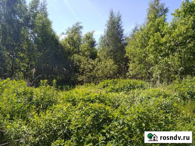 Участок СНТ, ДНП 15 сот. на продажу в Раменском Раменское - изображение 1