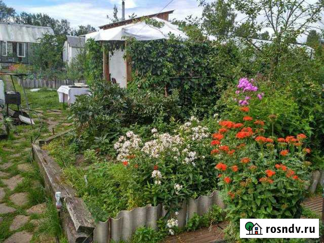 Дача 25 м² на участке 5 сот. на продажу в Асбесте Асбест - изображение 1