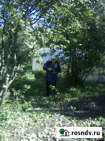 Дача 30 м² на участке 10 сот. на продажу в Камском Устье Камское Устье - изображение 1