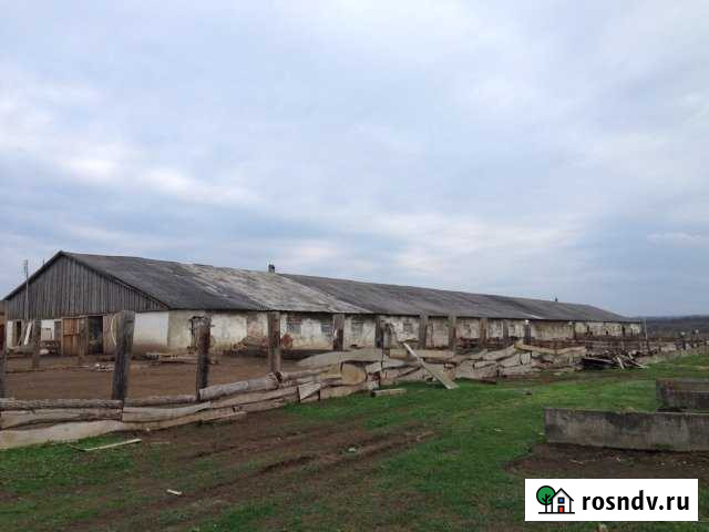 Ферма Армавир - изображение 1