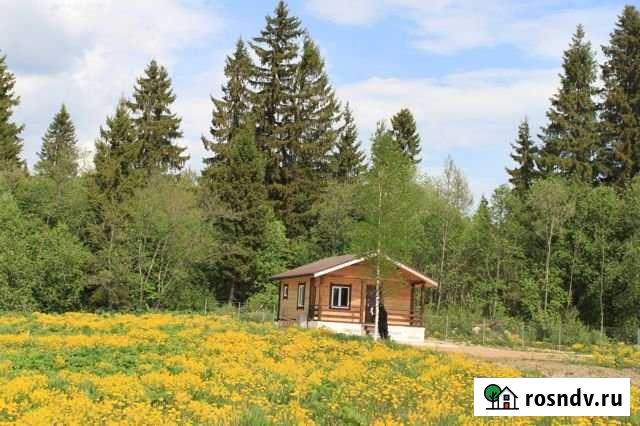 Участок СНТ, ДНП 10 сот. на продажу в Гостилицах Гостилицы - изображение 1