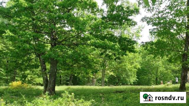 Участок ИЖС 18 сот. на продажу в Джубге кп Джубга кп - изображение 1