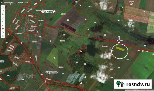 Участок СНТ, ДНП 4100 сот. в аренду в Белоярском Свердловской области Белоярский - изображение 1