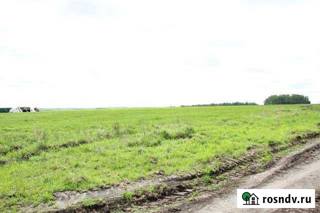 Участок ИЖС 93 сот. на продажу в Новогуровском Новогуровский - изображение 1