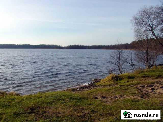 Участок СНТ, ДНП 20 сот. на продажу в Великих Луках Великие Луки - изображение 1