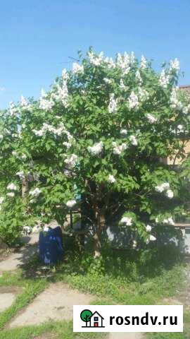 Дом 70 м² на участке 6 сот. на продажу в Заплавном Заплавное - изображение 1