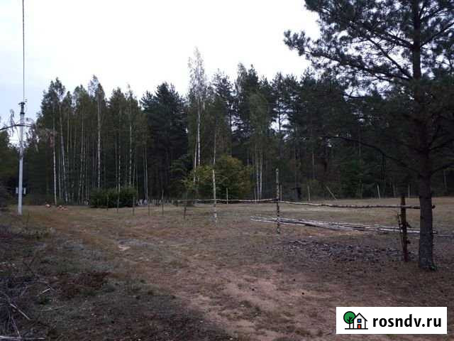 Участок СНТ, ДНП 15 сот. на продажу в Пскове Псков - изображение 1