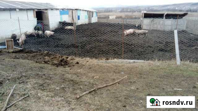 Участок СНТ, ДНП 387 сот. на продажу в Симферополе Симферополь - изображение 1