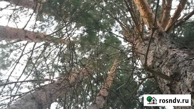 Участок ИЖС 25 сот. на продажу в Калтане Калтан - изображение 1