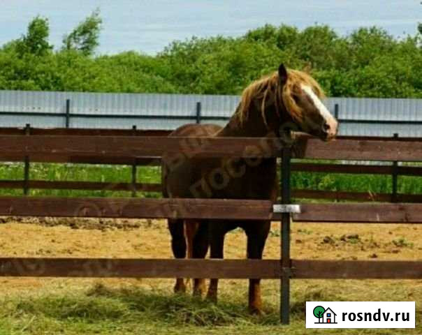 Коттедж 85 м² на участке 17 сот. на продажу в Зубцове Зубцов - изображение 1