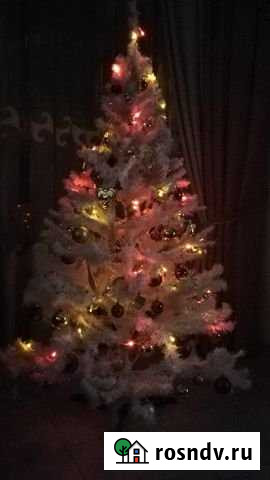 Комната 18 м² в 8-ком. кв., 2/3 эт. в аренду посуточно в Красной Поляне Краснодарского края Красная Поляна - изображение 1