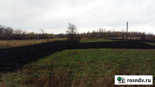 Участок ИЖС 3000 сот. на продажу в Петровском Тамбовской области Петровское - изображение 1