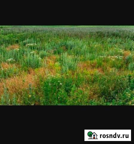 Участок СНТ, ДНП 8 сот. на продажу в Сосновоборске Красноярского края Сосновоборск - изображение 1