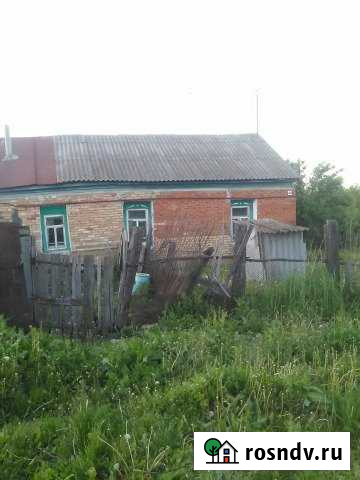 Дом 41 м² на участке 16 сот. на продажу в Иссе Исса - изображение 1