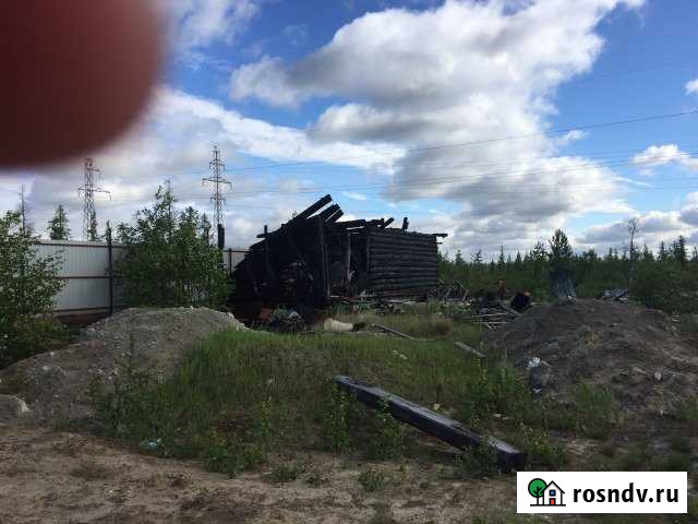 Участок СНТ, ДНП 6 сот. на продажу в Новом Уренгое Новый Уренгой - изображение 1