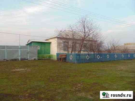 Дом 80 м² на участке 27 сот. на продажу в Репьевке Репьевка