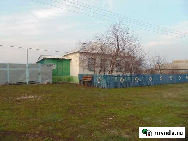 Дом 80 м² на участке 27 сот. на продажу в Репьевке Репьевка - изображение 1