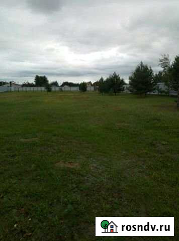 Участок ИЖС 25 сот. на продажу в Черноголовке Черноголовка - изображение 1