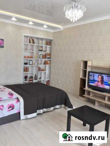 1-комнатная квартира, 54 м², 8/16 эт. в аренду посуточно в Пензе Пенза - изображение 1