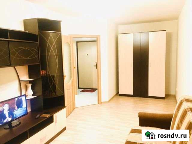 1-комнатная квартира, 36 м², 7/9 эт. в аренду на длительный срок в Кудрово Кудрово - изображение 1