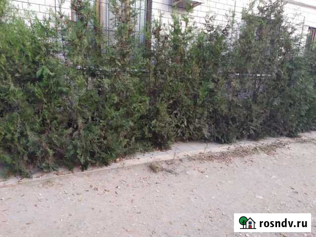 1-комнатная квартира, 35 м², 4/5 эт. на продажу в Каспийске Каспийск - изображение 1