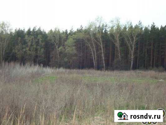 Участок ИЖС 35 сот. на продажу в Задонске Задонск - изображение 1