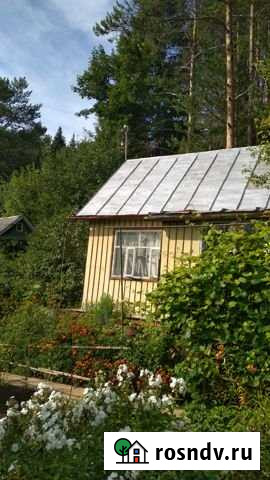 Дача 24 м² на участке 6 сот. на продажу в Глазове Глазов - изображение 1