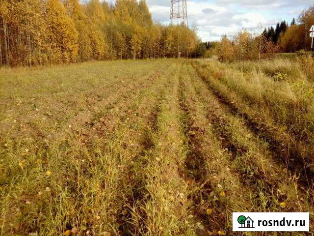 Участок ИЖС 10 сот. на продажу в Сыктывкаре Сыктывкар - изображение 1