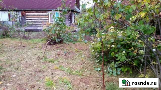 Участок СНТ, ДНП 6 сот. на продажу в Мге Мга - изображение 1