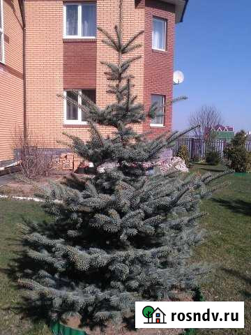 Дом 188 м² на участке 12 сот. на продажу в Домодедово Домодедово - изображение 1